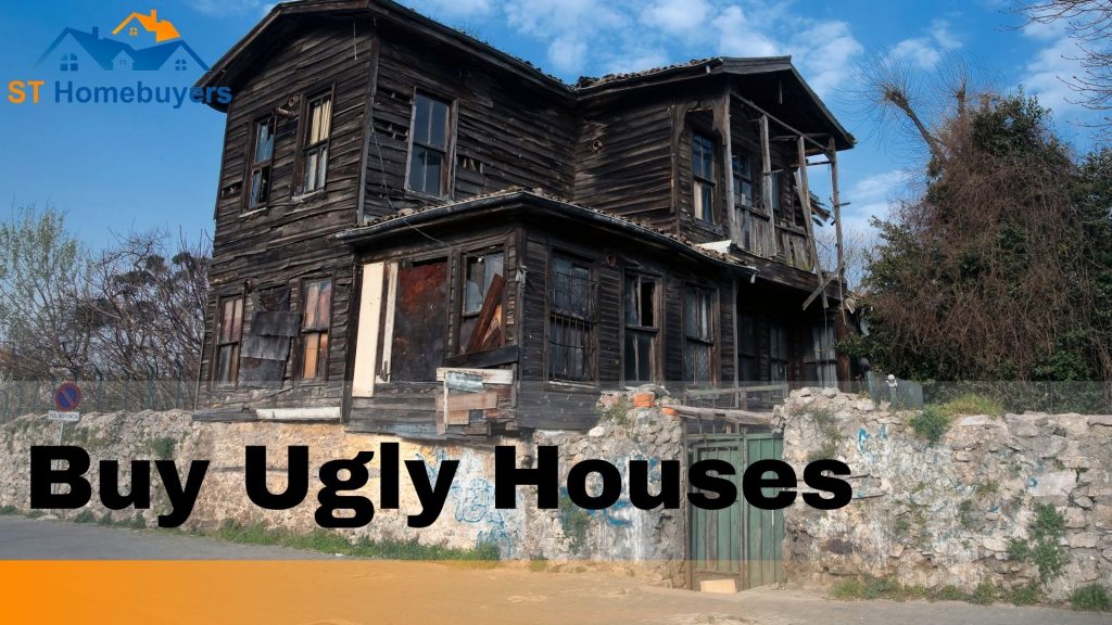 Homevestors review: Buy Ugly Houses 